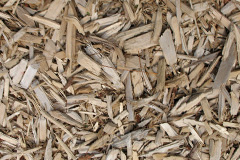 biomass boilers Woodrow